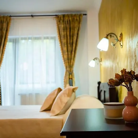 Pensiunea Alessia Guest house Soveja